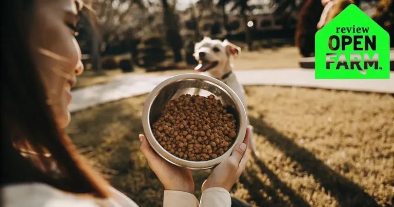 dog and food open farm