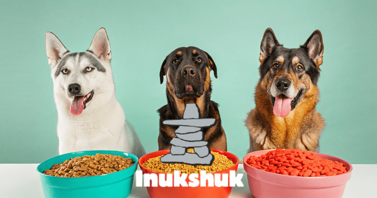 A well-designed graphic featuring elements of dog health and nutrition, emphasizing the quality of Inukshuk Dog Food.