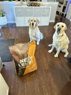 Next Level Dog Food: Two dogs, a Golden Retriever and a Labrador Retriever, sit beside a bag of Next Level Dog Food.