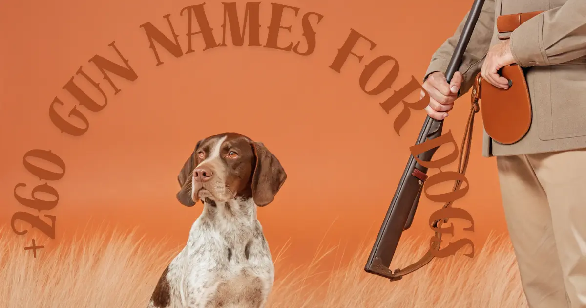 A dog sitting in a field with a hunter holding a gun, with the text "260 Gun Names for Dogs" above