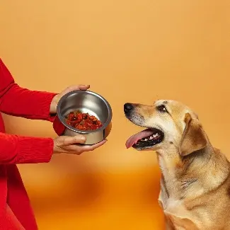 A person holding a bowl of Hill's Science Dog Food in front of a dog.