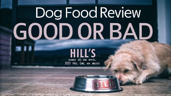 A dog sniffing its food bowl, with the text "Dog Food Review: Good or Bad? Hill's Science Dog Food" above.