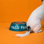 A playful dog showing its excitement for Valu Pak dog food.