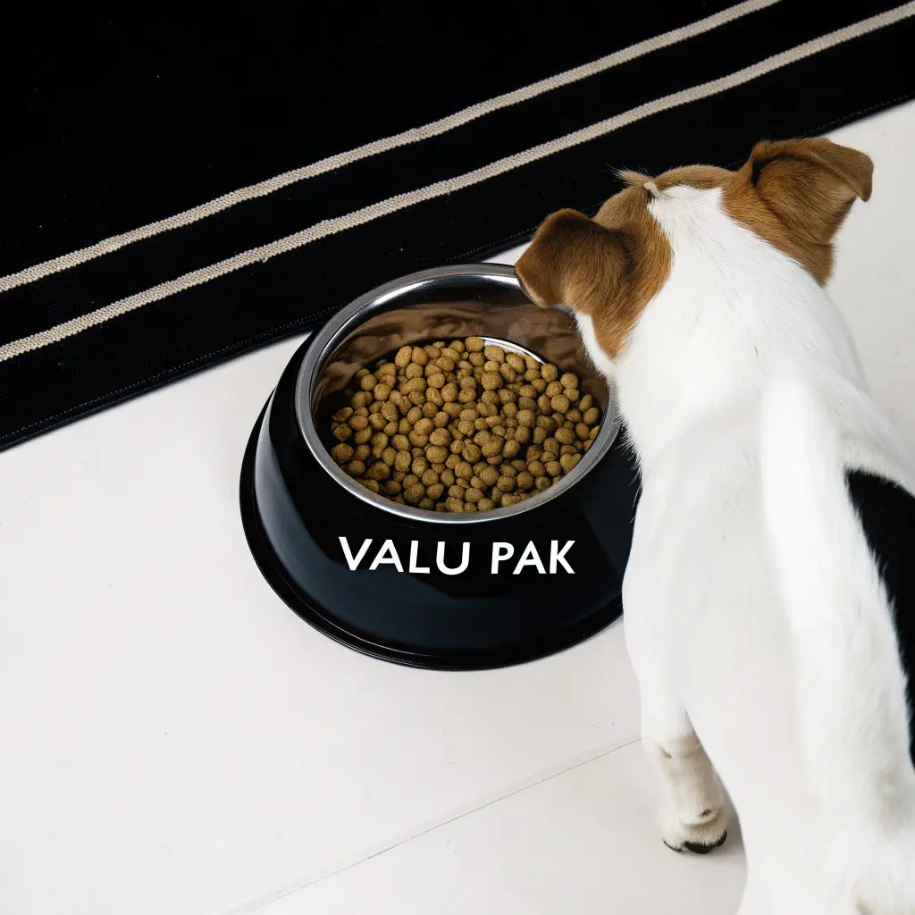 A hungry dog enjoying a meal of Valu Pak dog food.