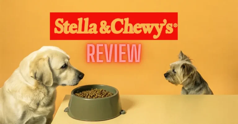 Stella and Chewy logo with two dogs examining a bowl of food on a table.