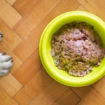 A serving of Lone Wolf Ranch Dog Food sits in a bowl beside a dog's paws, prompting the question: Is Lone Wolf Ranch Dog Food good for dogs?