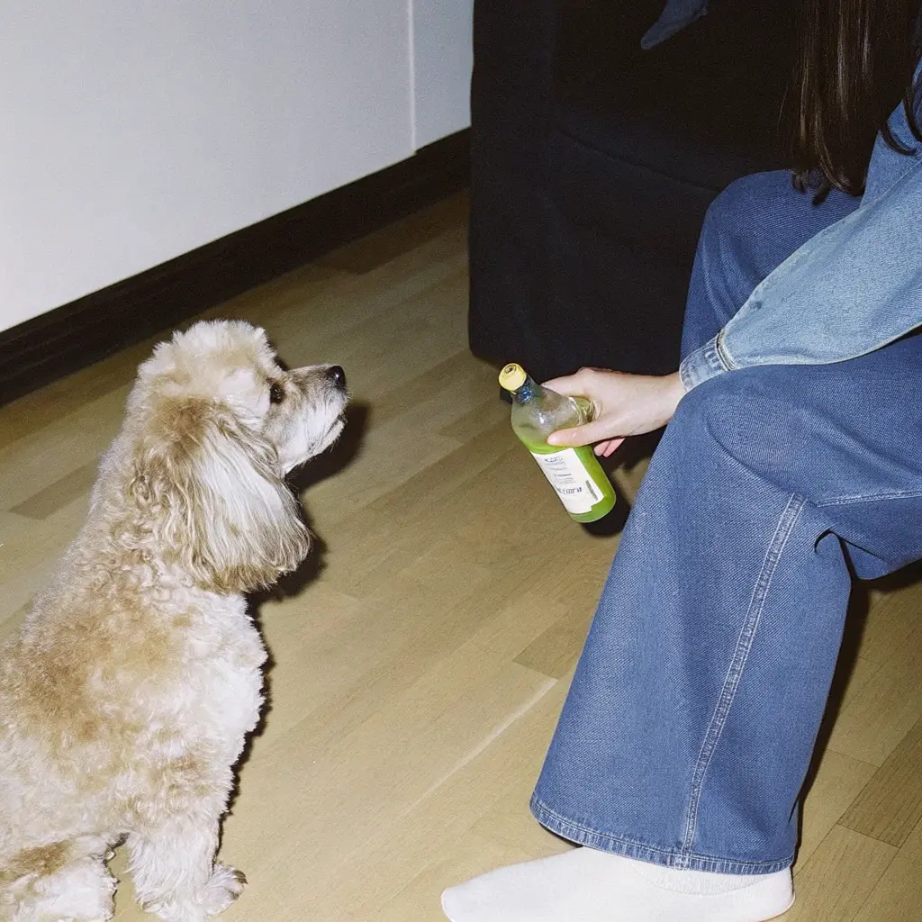 avocado-oil-is-safe-for-dogs