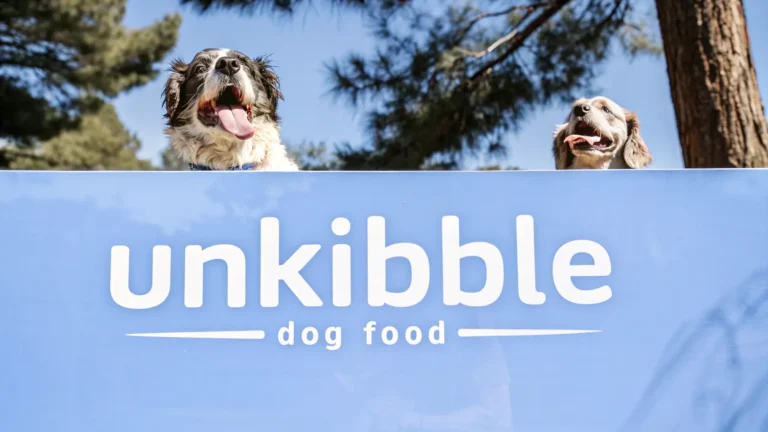 unkibble-dog-food-and-dogs-see-owner-