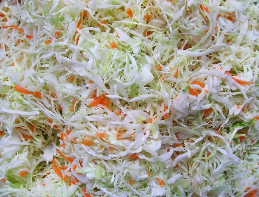 can dogs eat auerkraut